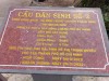Bình Trung: Khánh thành, đưa vào sử dụng cây cầu dân sinh ở tổ 1, thôn Đồng Xuân